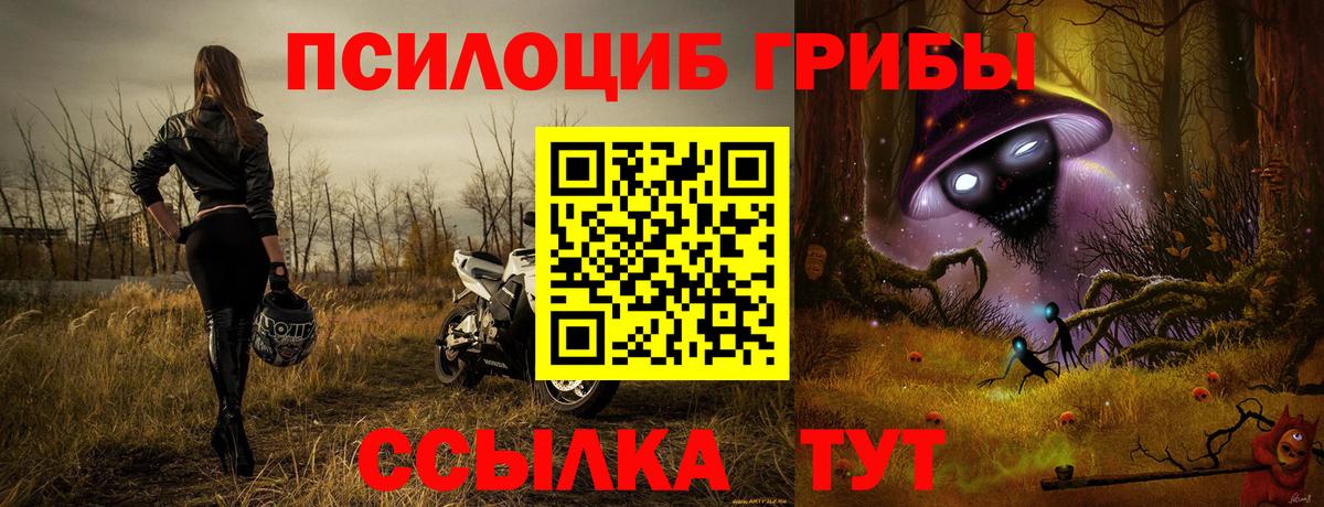 Псилоцибиновые грибы Psilocybine cubensis  Вход с VPN  Зеленодольск 