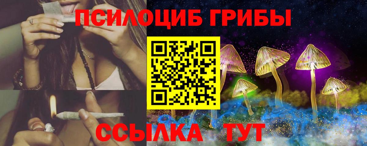 Галлюциногенные грибы ЛСД Зеленодольск
